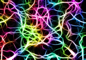 Link between Alzheimerâ€™s and schizophrenia discovered